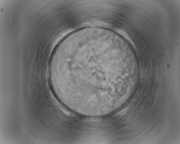 X0000067391040200604211628