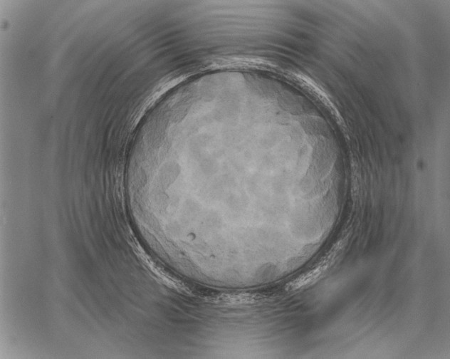 X0000067391041200604211628