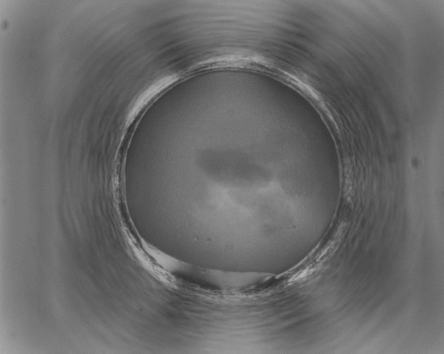 X0000067391042200604211628