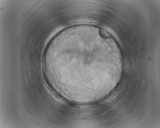 X0000067391043200604211628