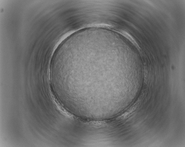 X0000067391044200604211628