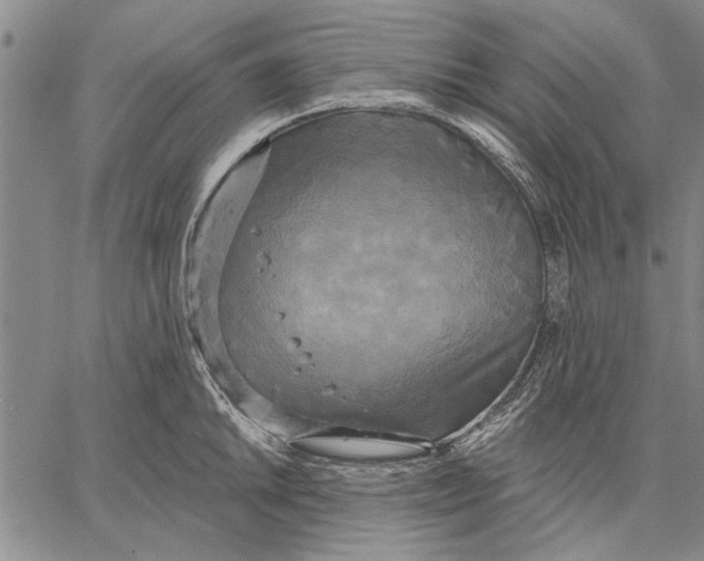 X0000067391046200604211628