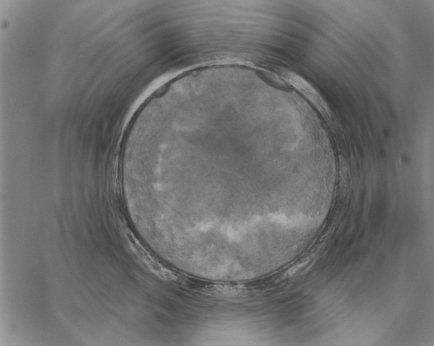 X0000067391052200604211628