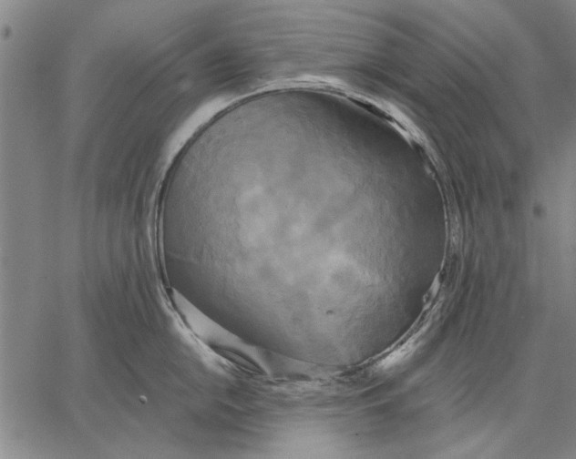 X0000067391054200604211628