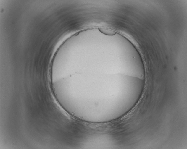 X0000067391056200604211628