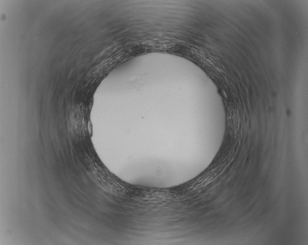 X0000067391058200604211628