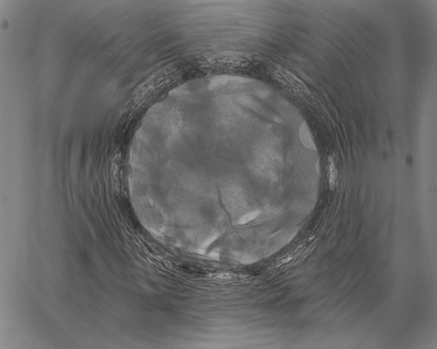 X0000067391059200604211628