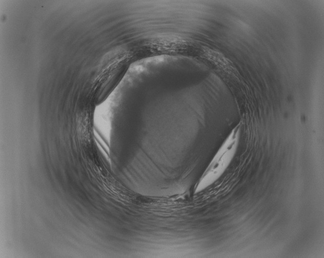 X0000067391060200604211628