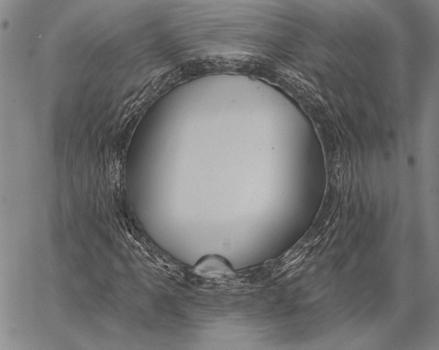 X0000067391061200604211628