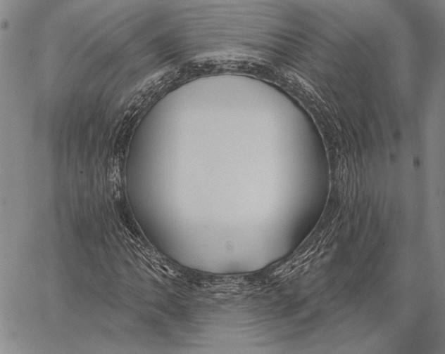 X0000067391062200604211628