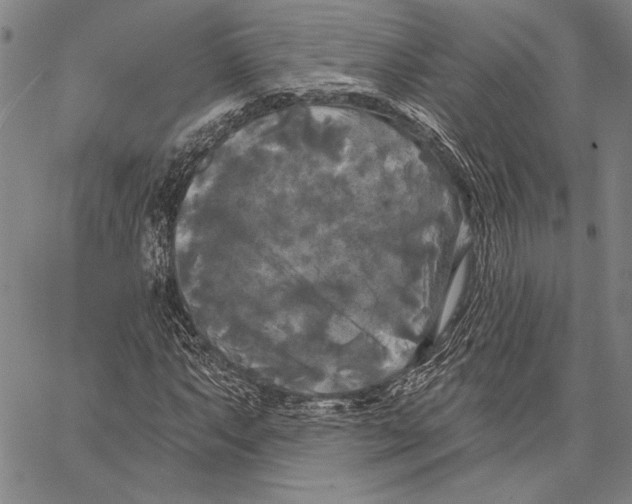 X0000067391063200604211628