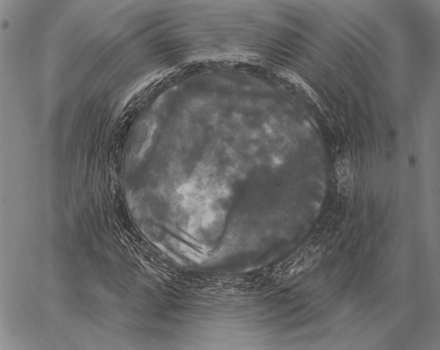 X0000067391064200604211628