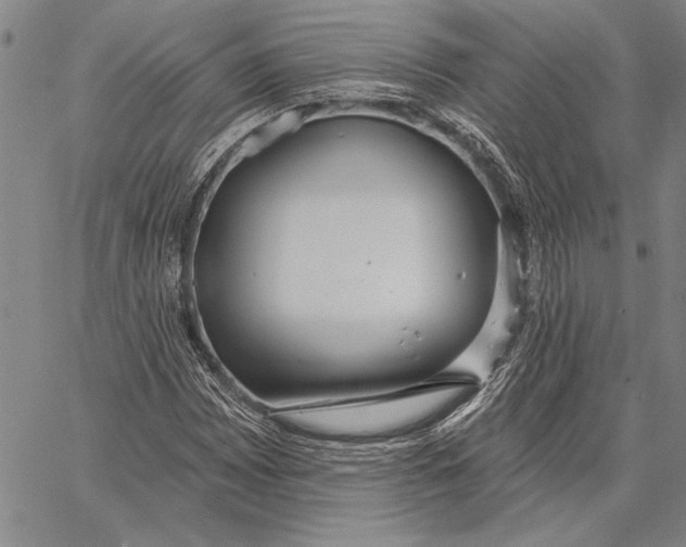 X0000067391065200604211628