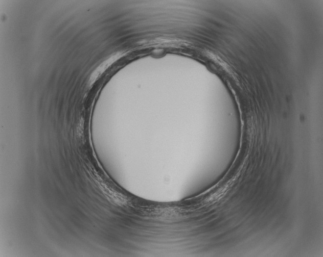 X0000067391066200604211628