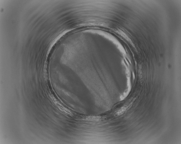 X0000067391068200604211628