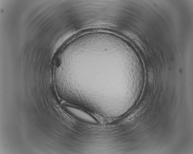 X0000067391069200604211627