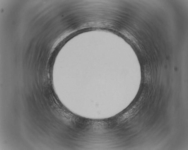 X0000067391070200604211627