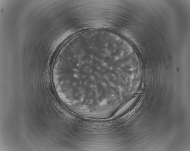 X0000067391071200604211627