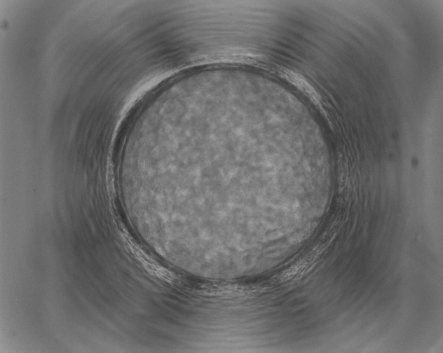 X0000067391072200604211627