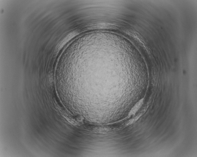 X0000067391073200604211627