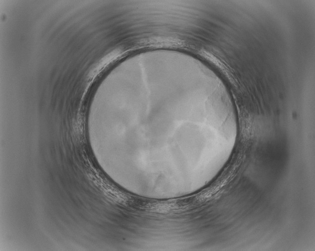 X0000067391074200604211627