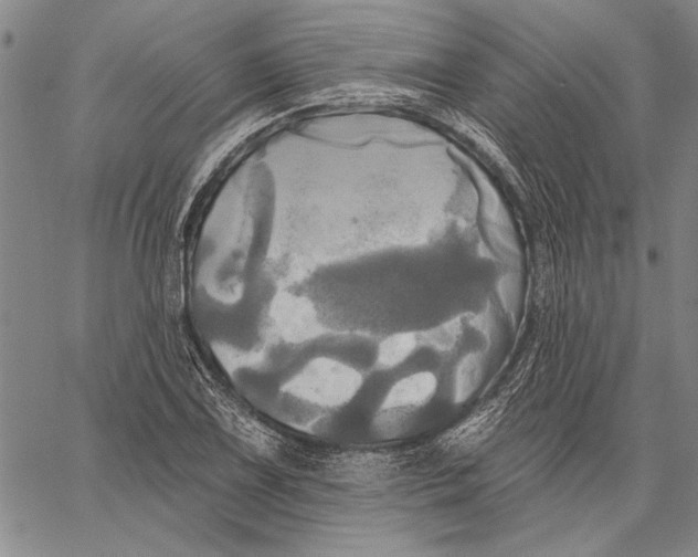 X0000067391075200604211627