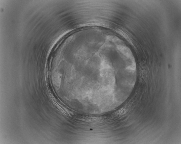 X0000067391076200604211627