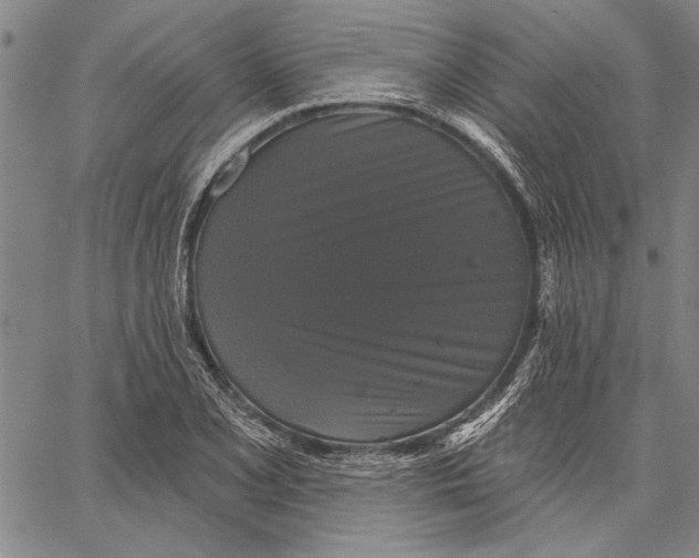 X0000067391077200604211627