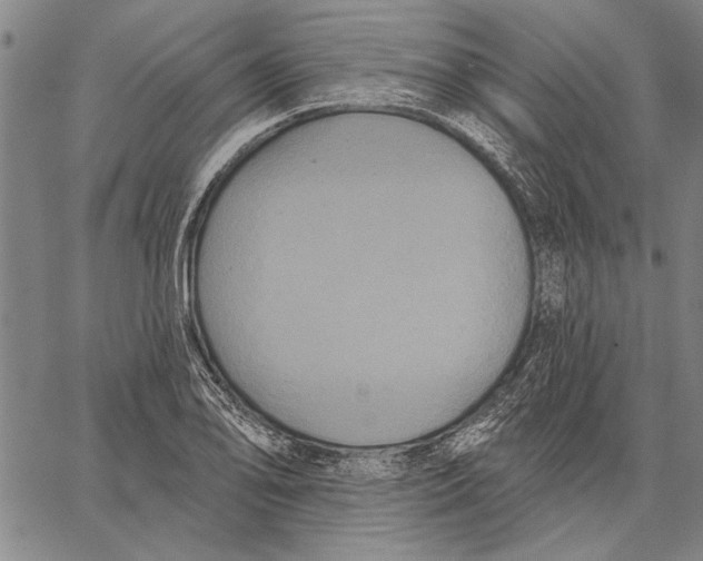 X0000067391078200604211627