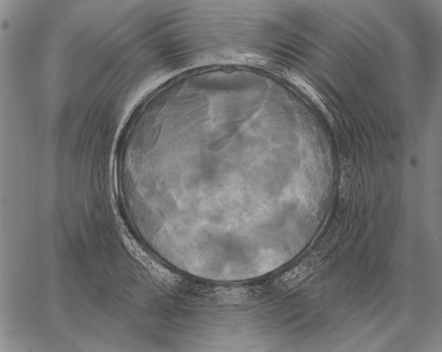 X0000067391080200604211627