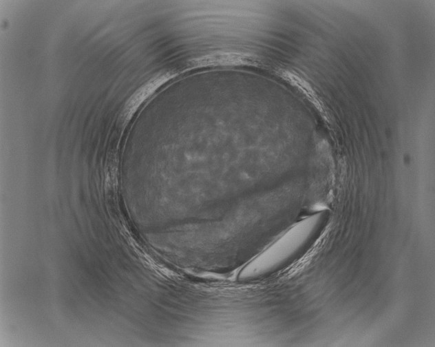 X0000067391081200604211627