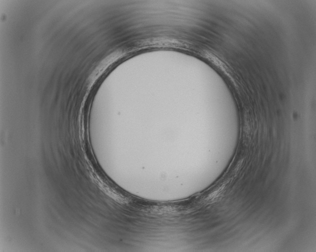 X0000067391082200604211627