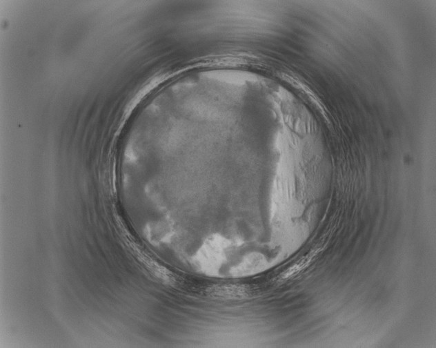 X0000067391083200604211627