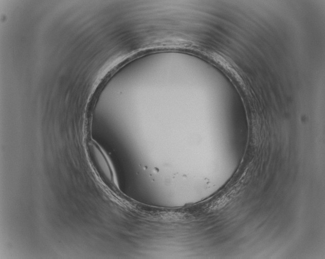 X0000067391085200604211627