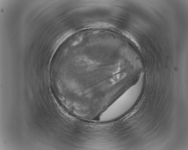 X0000067391087200604211627