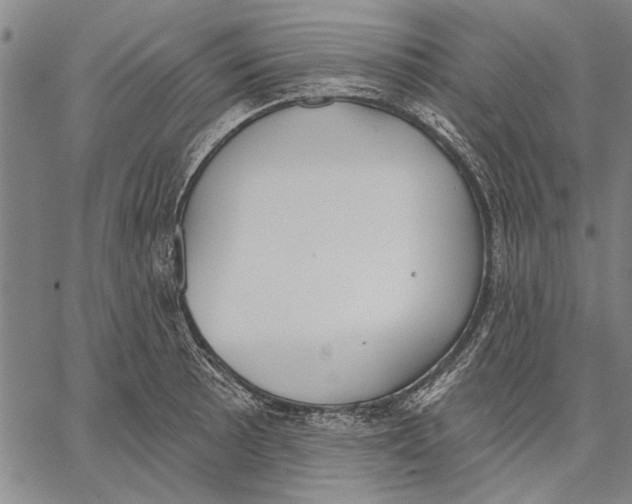 X0000067391089200604211627