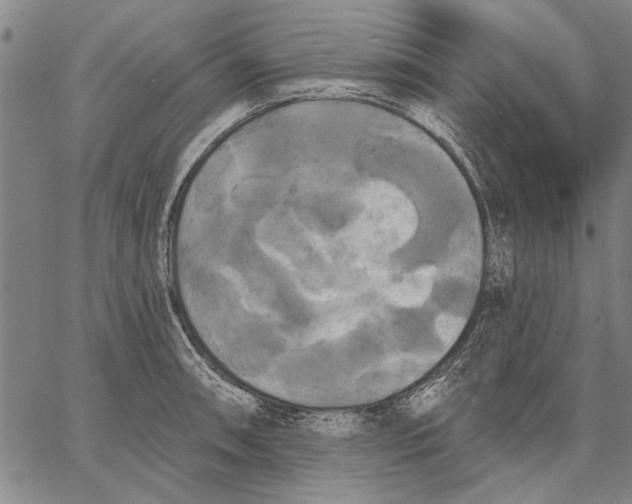 X0000067391090200604211627