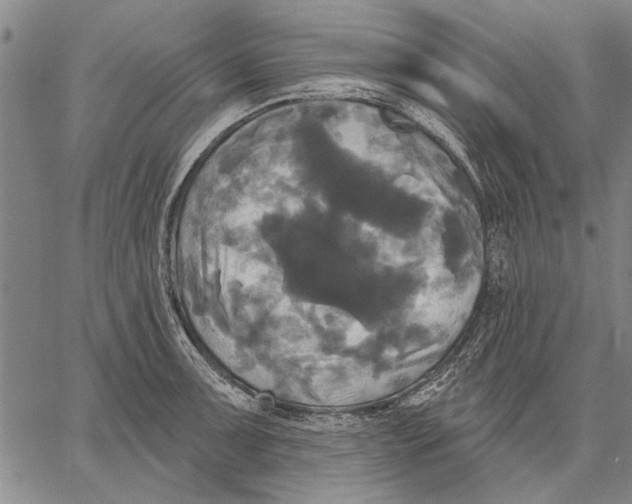 X0000067391091200604211627