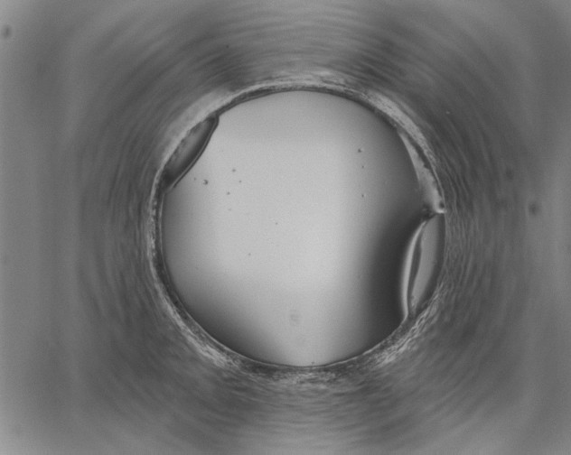 X0000067391093200604211627