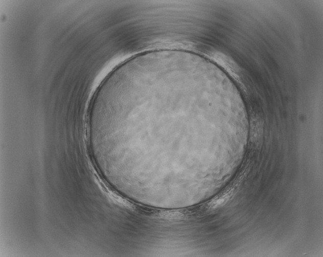 X0000067391094200604211627