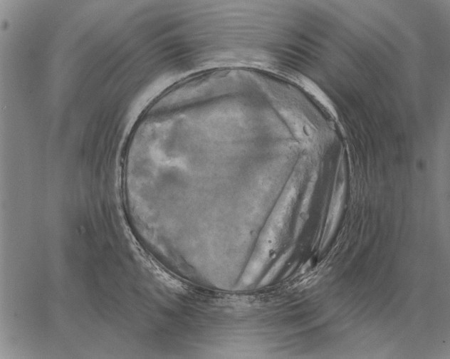 X0000067391096200604211627