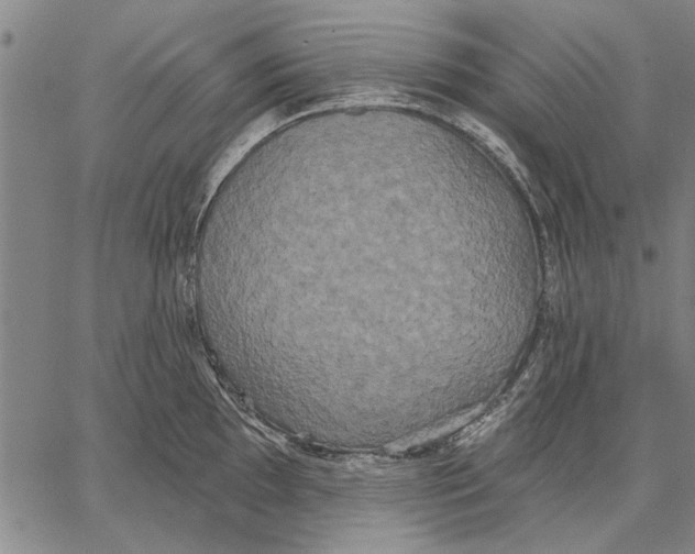 X0000067391097200604211627