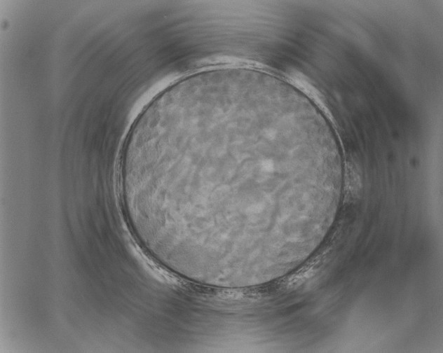 X0000067391098200604211627