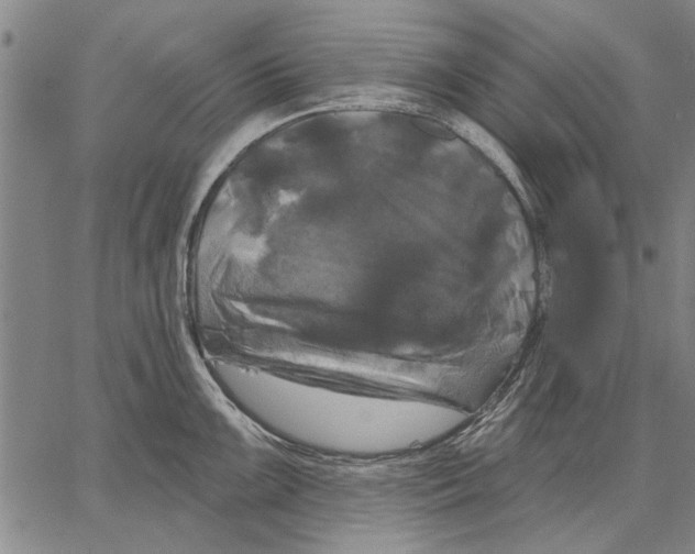 X0000067391099200604211627