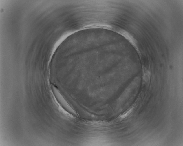 X0000067391102200604211627