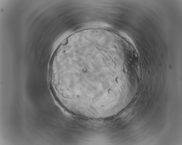 X0000067391103200604211627