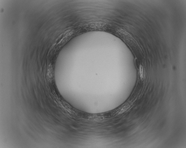 X0000067391107200604211626