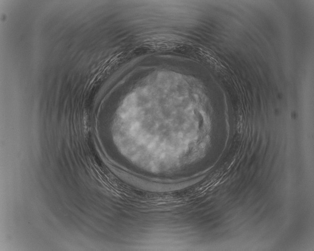 X0000067391108200604211626