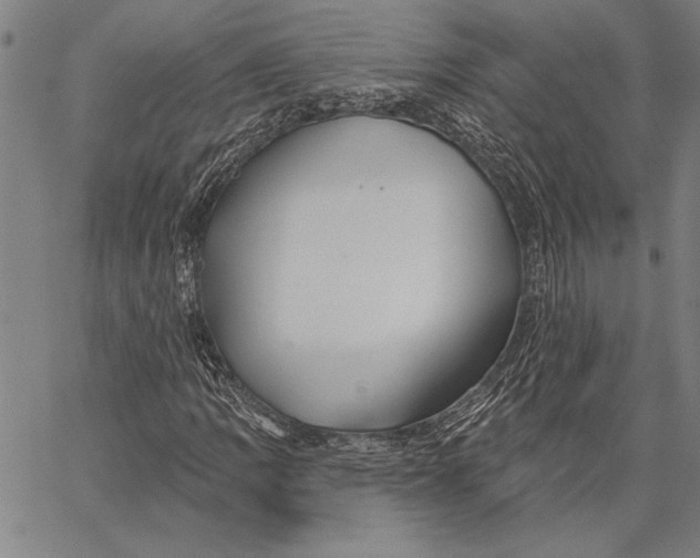 X0000067391109200604211626