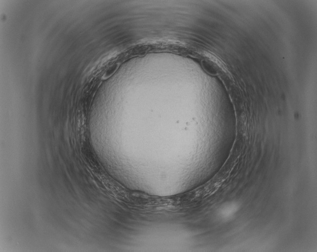 X0000067391111200604211626